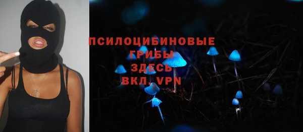 стаф Алексин