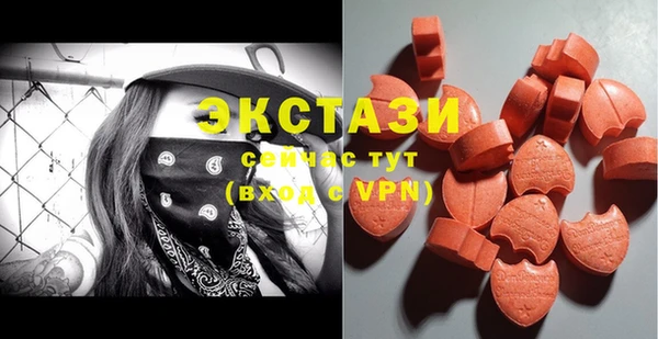 стаф Алексин