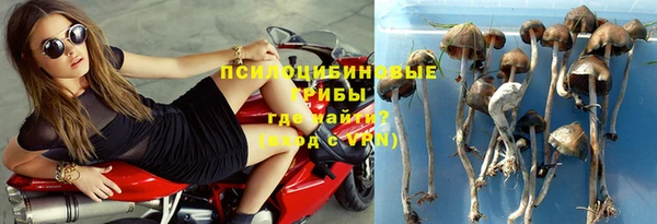 стаф Алексин