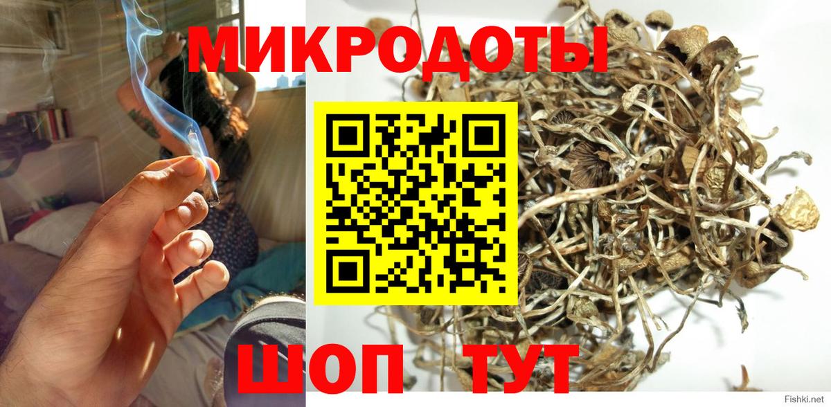 Псилоцибиновые грибы Cubensis  Псилоцибиновые грибы GOLDEN TEACHER  Вход с VPN  Тулун 