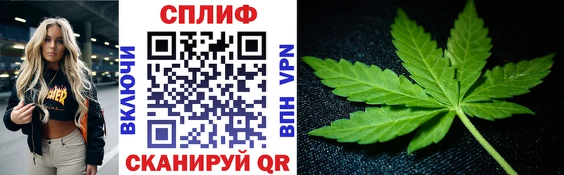 Марихуана план  omg сайт  Тулун 